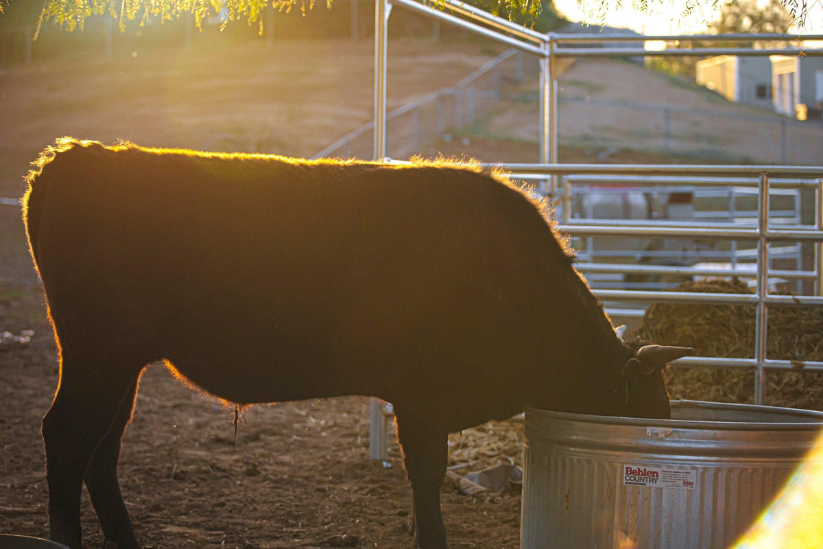 What Does “Farm to Fork” Mean? Browsey Acres Inc